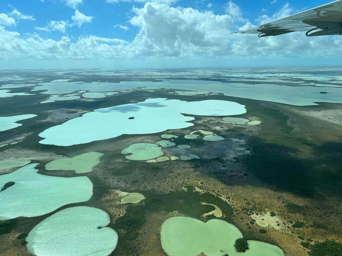 Commissioned Painting - Alison Moe - 50% Non-Refundable Remainder