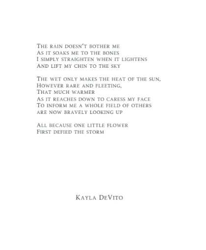 LAST FEW "Defied the Storm I" Limited Edition Fine Art Print