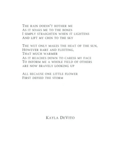 Mini Print - Defied the Storm I