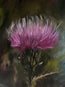 “Defied the Storm I” Oil Painting in Antique Scottish Frame - 33.5